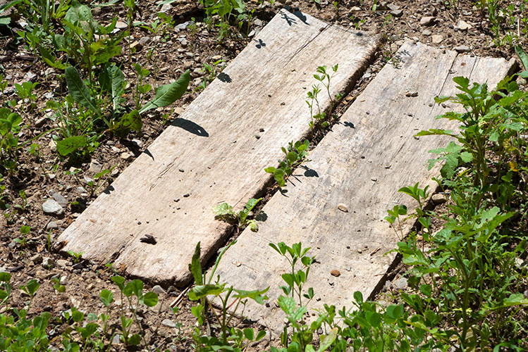 https://passiveactivism.net/files/gimgs/th-160_boards_web_passiveactivism.jpg